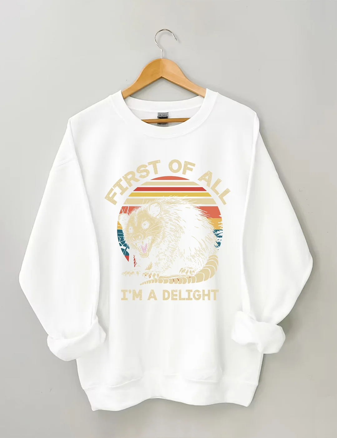 First Of All I'm A Delight Sarcastic Angry Opossum Lover Sweatshirt