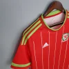 Retro 2015-16 Wales Soccer Jersey Home