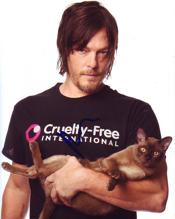 NORMAN REEDUS Signed Autographed Photo Poster painting