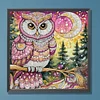 DIY Partial Special Shaped Drill Diamond Painting-Owl