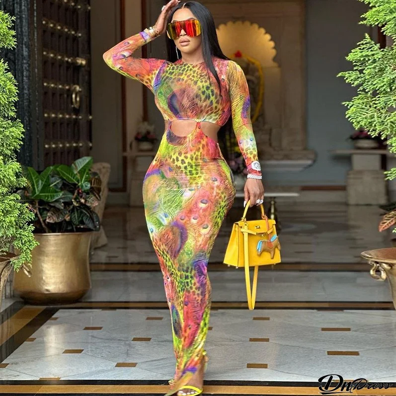 Women Round Neck Printed Long Sleeve Bodycon Dress