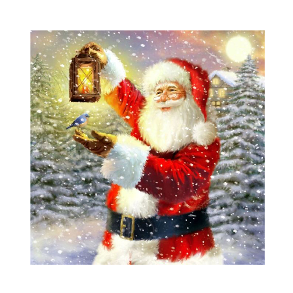 

Santa Claus Bird - Round Drill Diamond Painting - 30*30CM, 501 Original