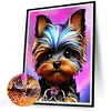 Yorkshire Terrier - Rundbohrer Diamant Malerei - 30*40cm