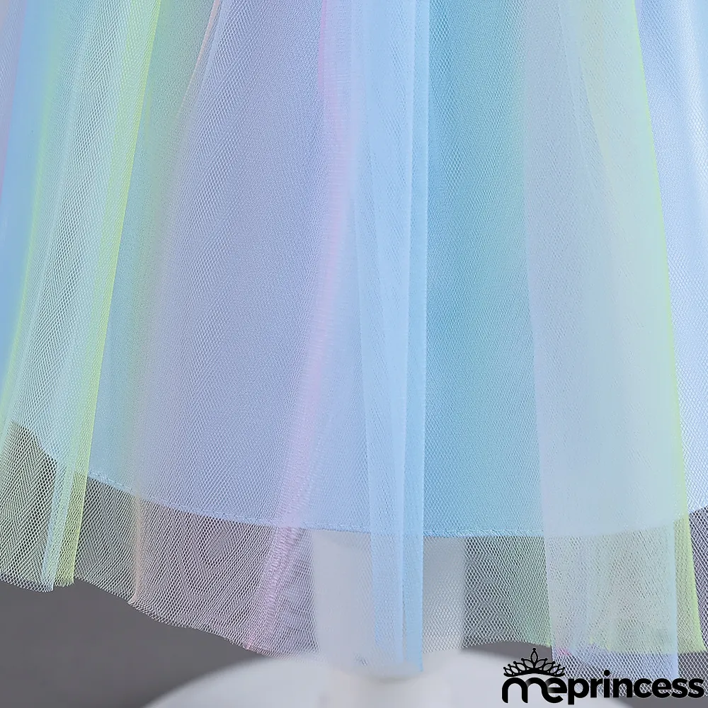 Infant and Toddler Dresses Floral Dress Multi-Color Mesh Pouf Princess Dress