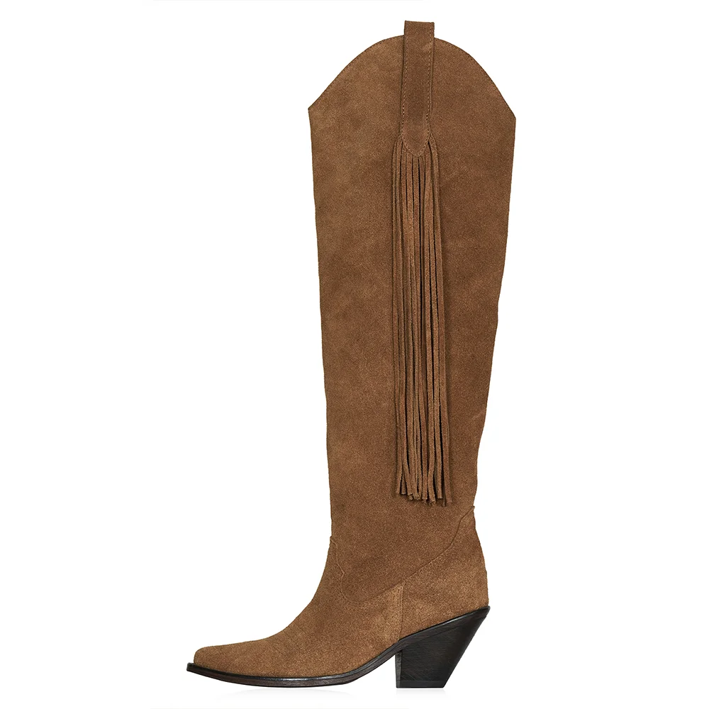 Brown Faux Suede Pointed Toe Over The Knee Fringe Boots With Chunky Heels Nicepairs