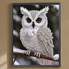 Pearl Owl on Branch-Special Shaped Diamond Painting