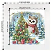 5D DIY Partial Special Shaped Drill Diamond Painting Xmas Owl With Frame Kit 19.2x19.2cm