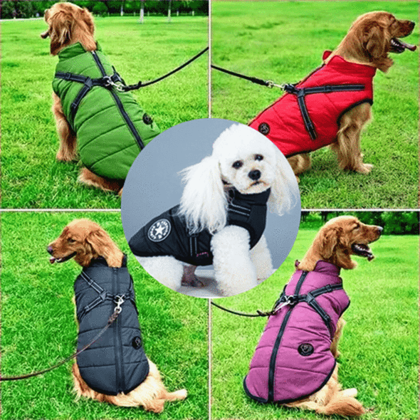 Waterproof and warm dog fashion jacket