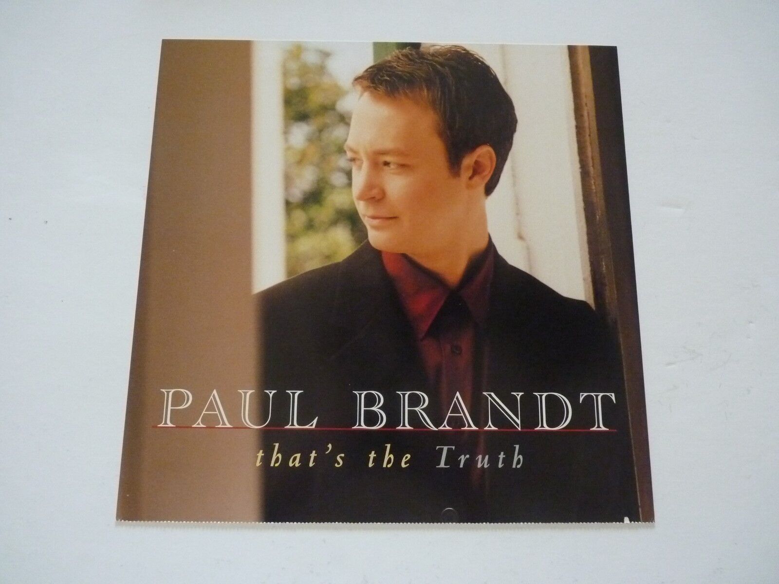 Paul Brandt That's The Truth 1999 Promo LP Record Photo Poster painting Flat 12x12 Poster