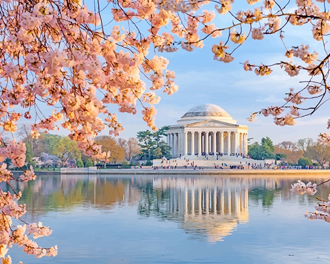 

Jefferson Memorial In Cherry Blossom – Paint By Numbers - 40*50CM, 501 Original