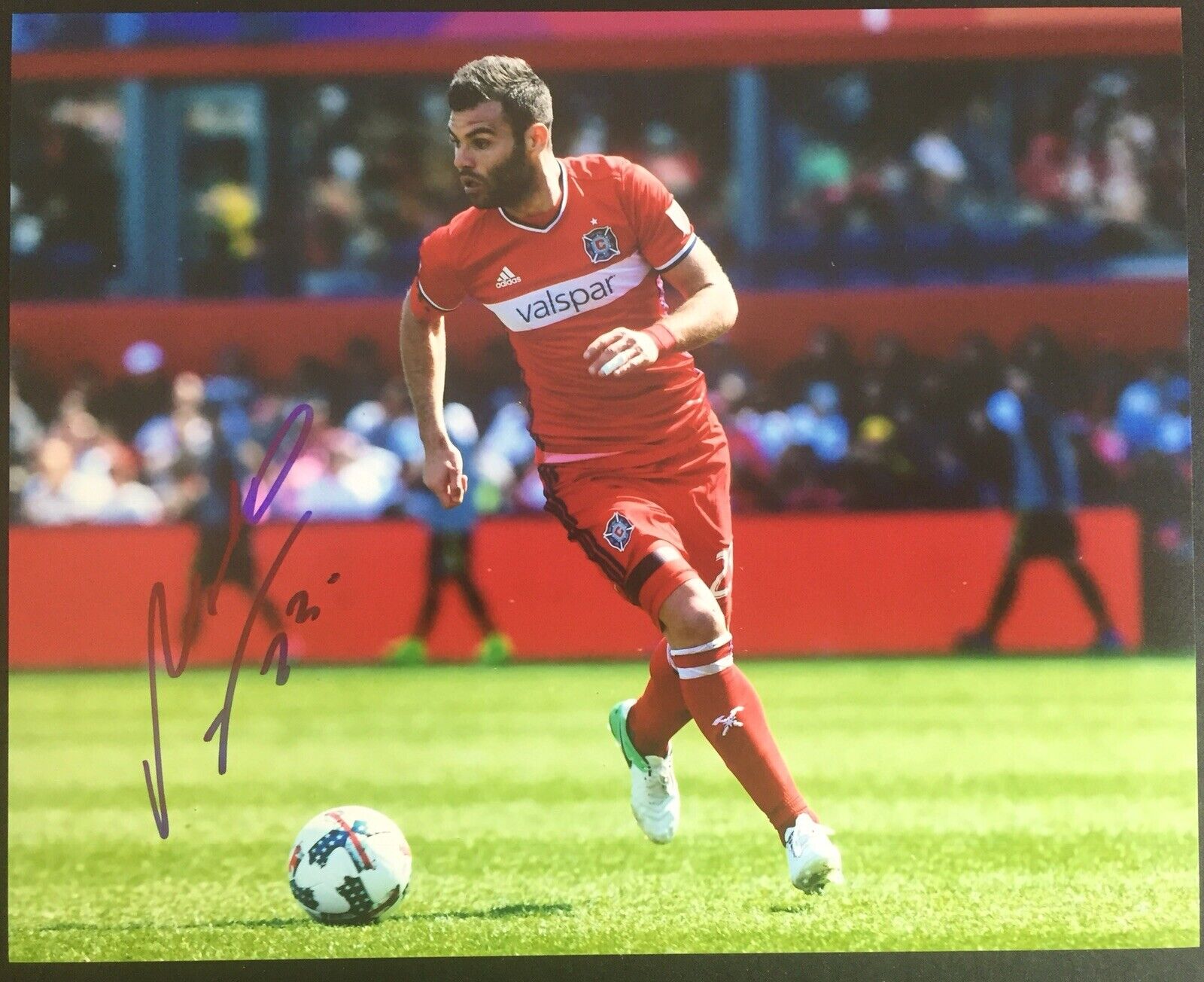 Nemanja Nikolic Signed Chicago Fire FC 8x10 Photo Poster painting