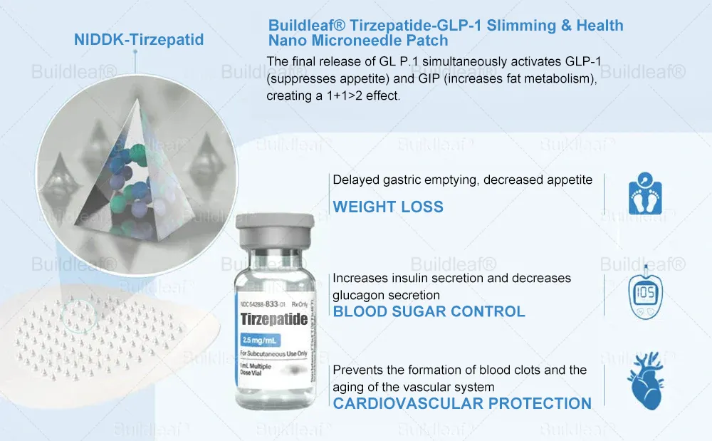 can glp 1 cause ed GLP-1 Medications Infographic