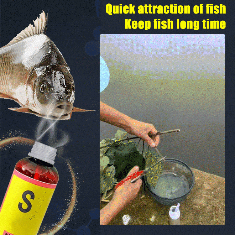  Fish Attractant, 60mL Natural Bait Scent, Multiple Use Anglers Fishing  Attractant, Easy to Use Fish Bait Attractant for Freshwater Carp, Crucian  Carp, Tilapia, EEL, Trout, Saltwater Fish, Snapper : Sports 