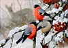 Three Birds in the Snow | Full Circle Diamond Painting Kit