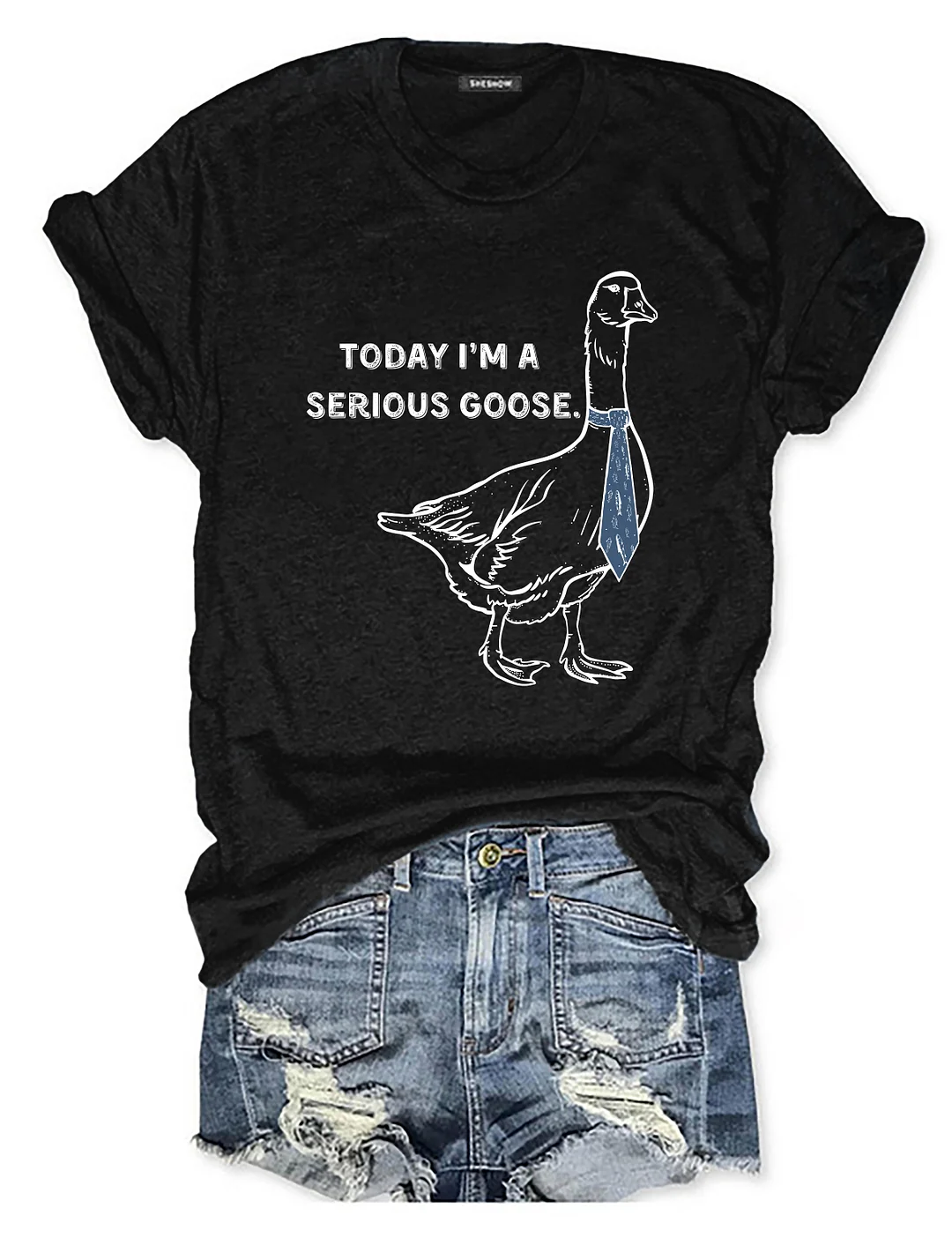 Today I'm A Serious Goose T-Shirt