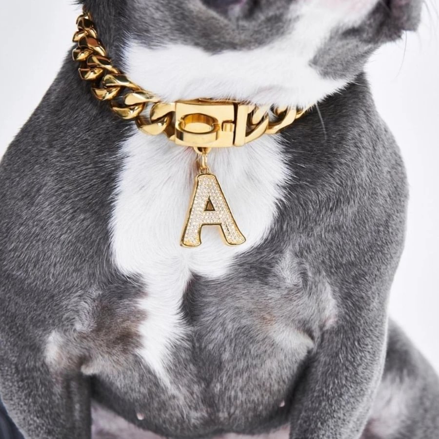 Custom Pets Dog Leash Initial Letter Dog Jewelry Tag-VESSFUL