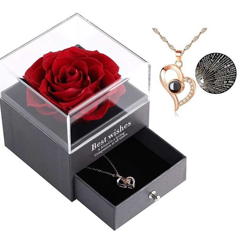 Vangogifts Preserved Real Forever Eternal Rose with Copper Necklace Set 2.0 -Tone Heart Necklace I Love You in 100 Languages Valentine's Gift