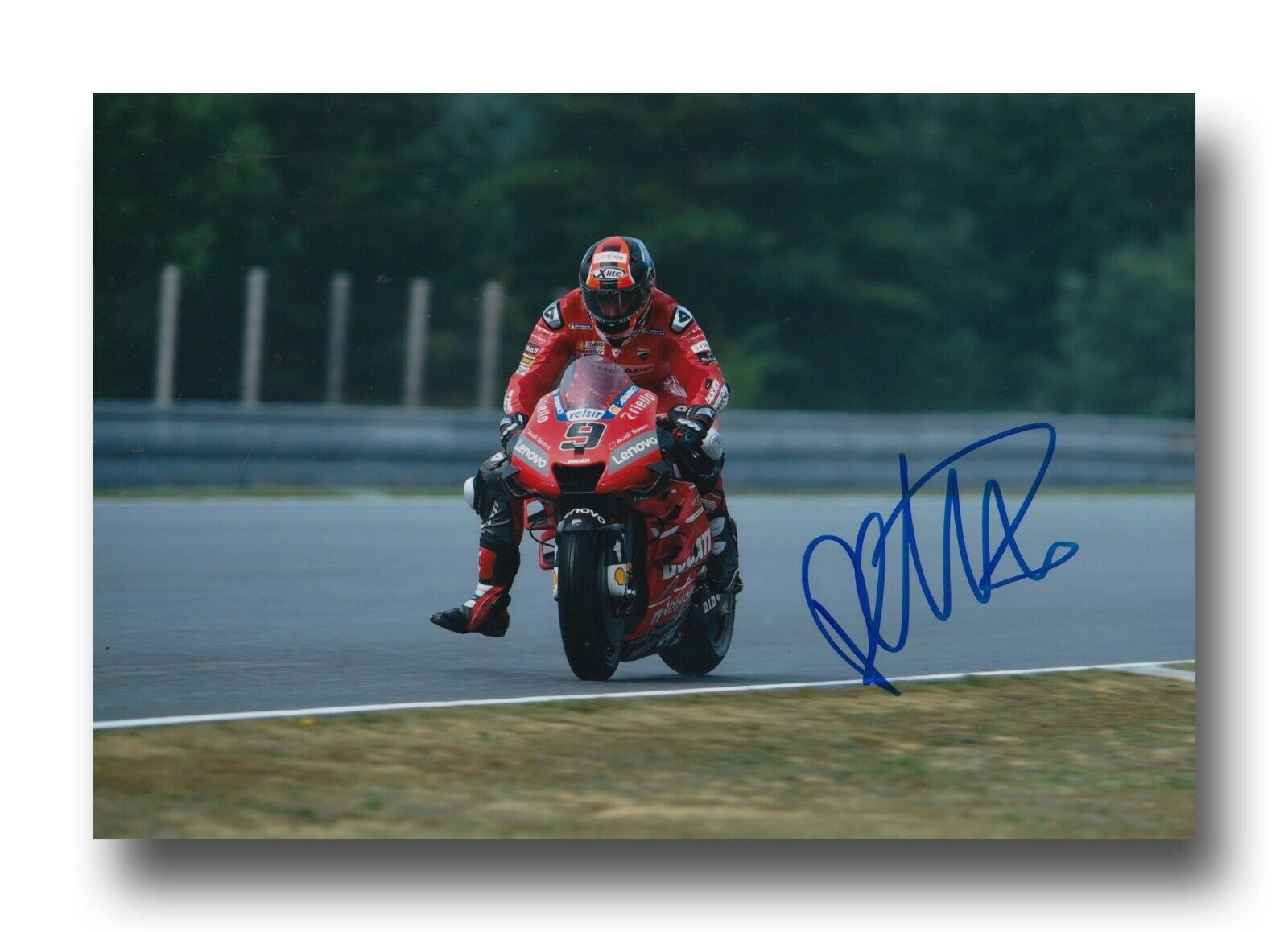 DANILO PETRUCCI HAND SIGNED 12X8 Photo Poster painting - MOTOGP AUTOGRAPH - 2019 DUCATI 4.