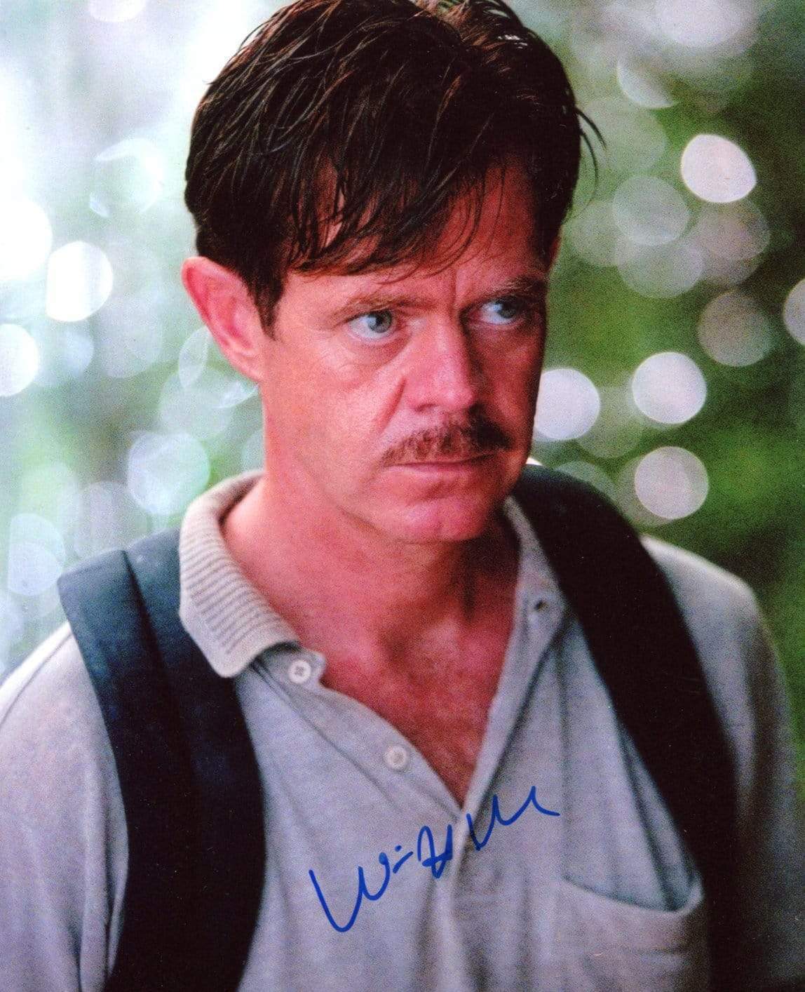 William H. Macy ACTOR autograph, signed Photo Poster painting