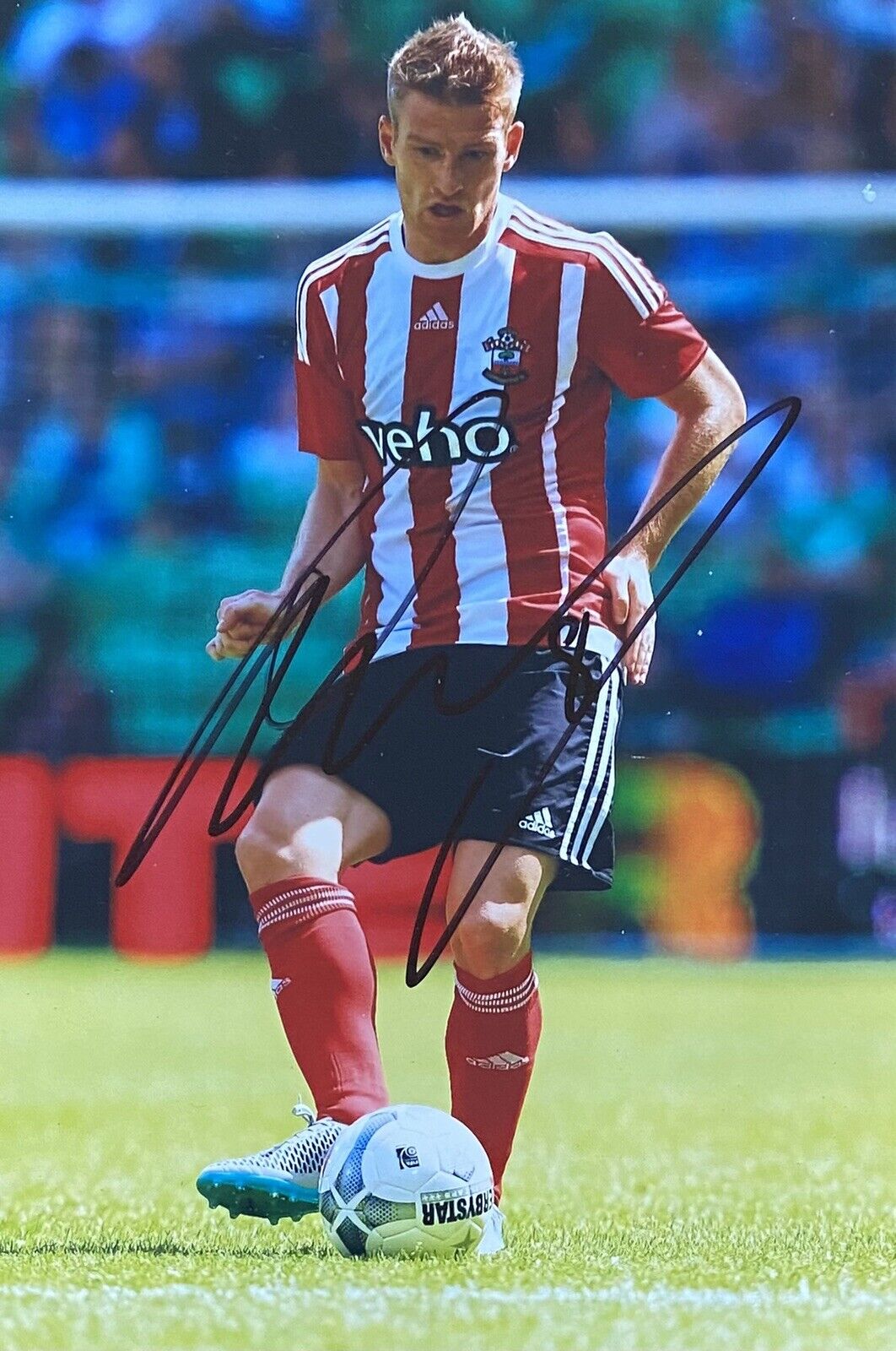 Steven Davis Genuine Hand Signed Southampton 6X4 Photo Poster painting 4