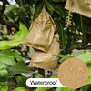 Special Bagging for Fruit--Anti-insect and Anti-bacteria, Waterproof and Anti-bird, Breathable and Hygienic
