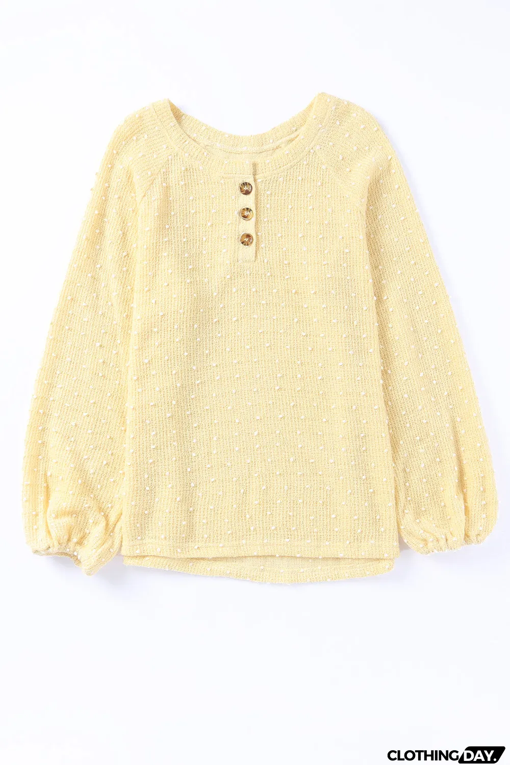 Swiss Dot Raglan Sleeves Knit Top