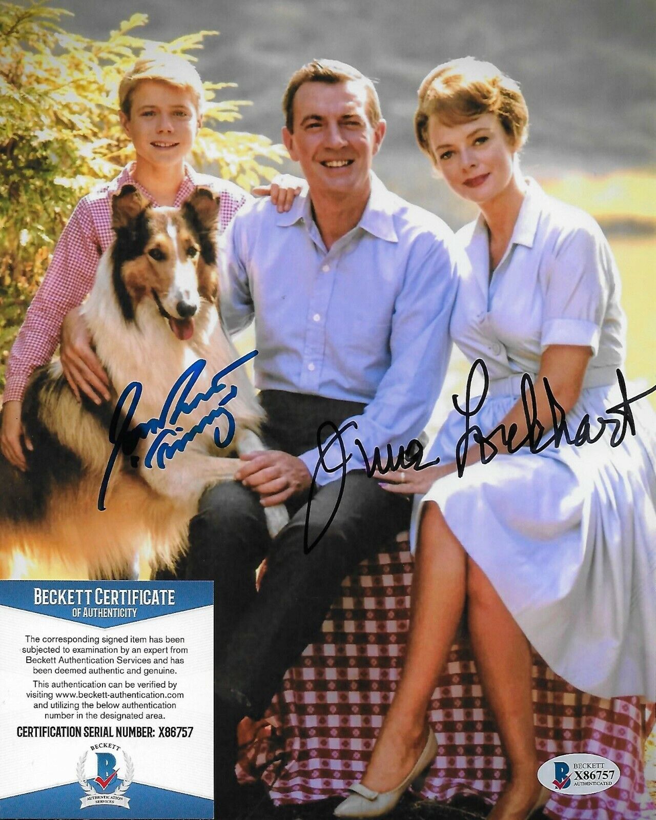 June Lockhart Jon Provost Lassie Original Autographed 8X10 Photo Poster painting w/Beckett COA 2