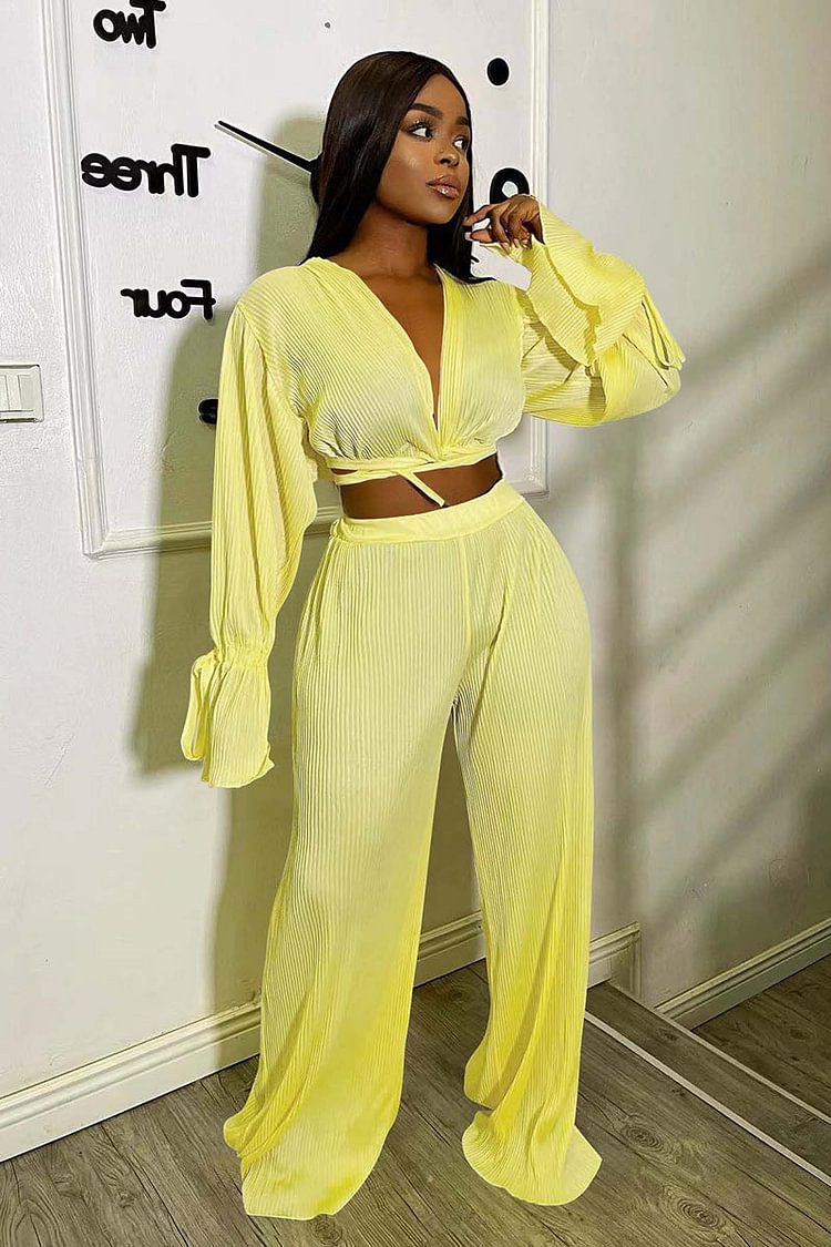 Deep V Neck Flare Sleeve Crop Top Pleated Pants Matching Set