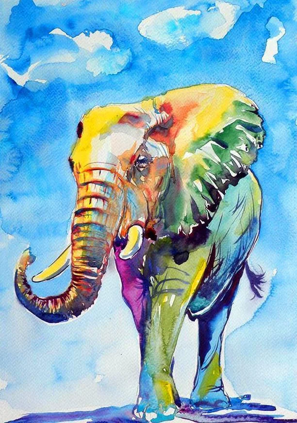 Animal Elephant Paint By Numbers Kits UK For Adult RA3254