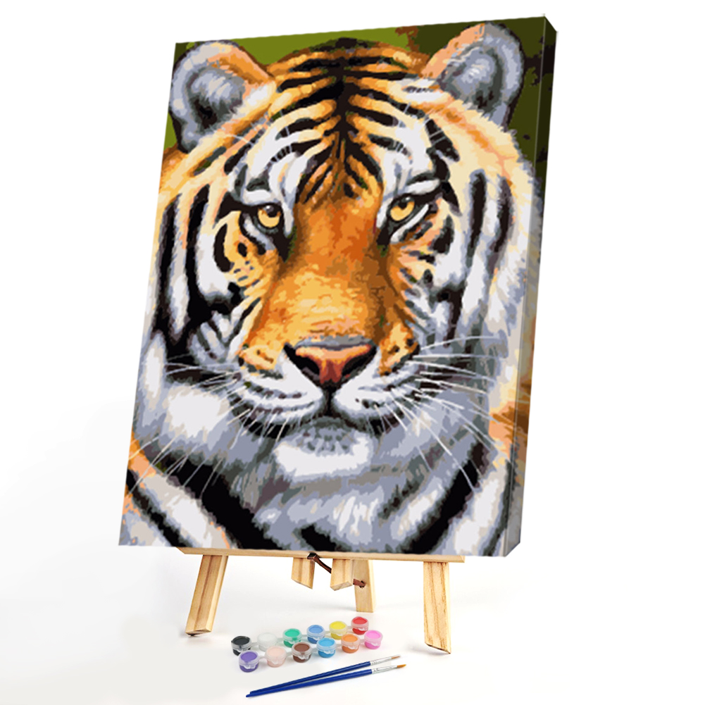 

40*50CM Paint By Numbers-Concentrate Tiger, 501 Original