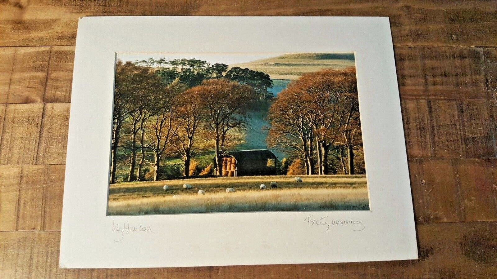 Liz Hanson Unterzeichnet Foto - Zoll Frostig Morning  - (Mattiert 40.6cm x