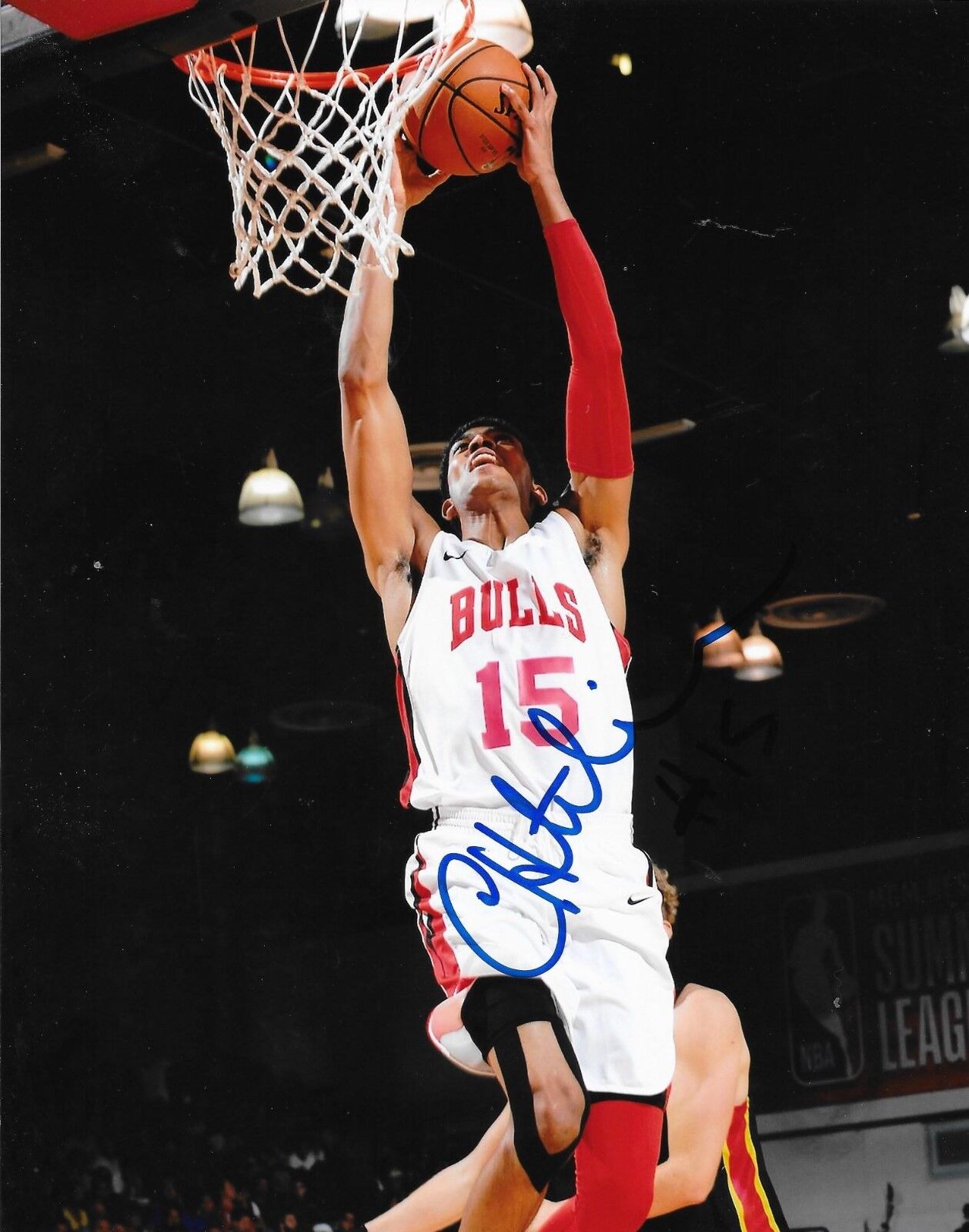 Chandler Hutchison signed Chicago Bulls 8x10 Photo Poster painting autographed