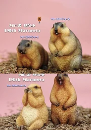 Mr.Z  MRZ054 1/6 Cavia Porcellus Marmota Model Cute Animal Statue Scene Home Decor Toy-aliexpress