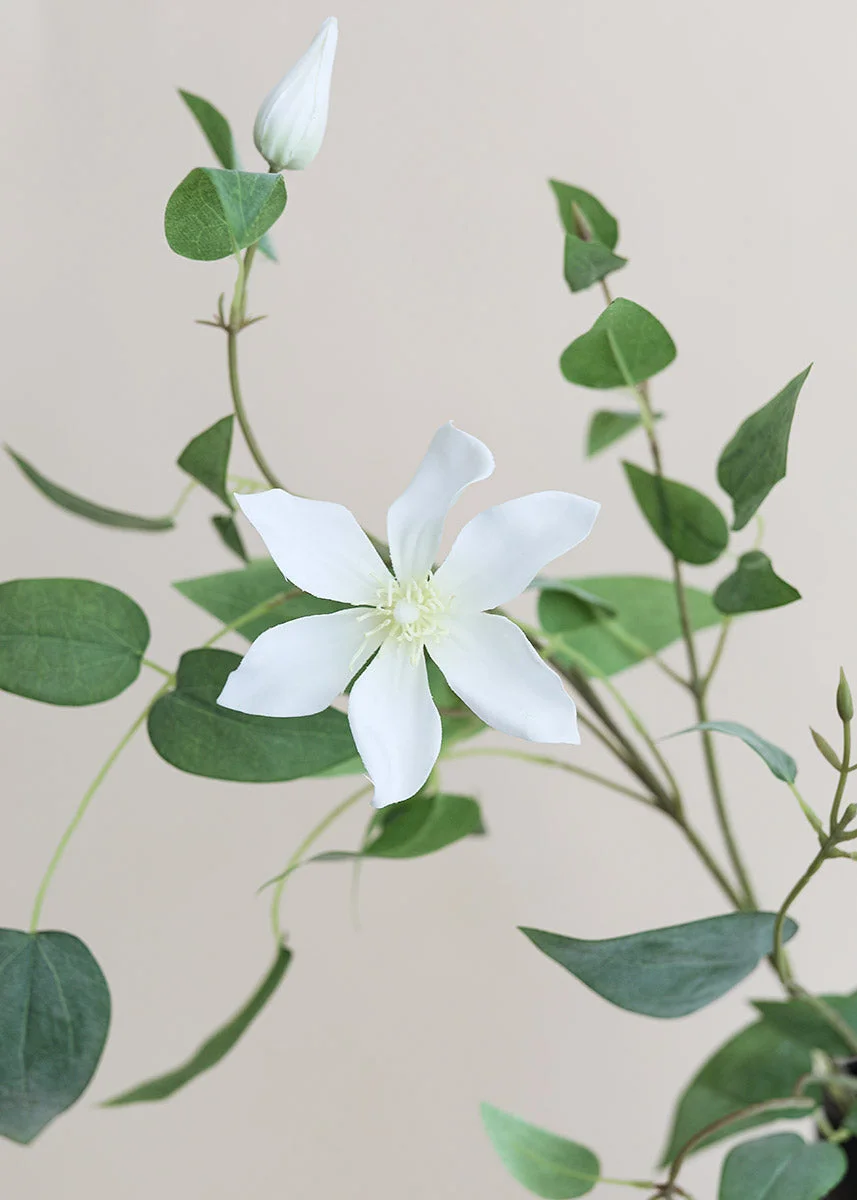 White Faux Clematis Flower Branch - 46"