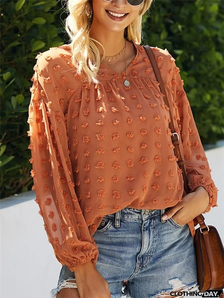 Relaxed Fit Oversized V Neck Semi Sheer Long Sleeve Swiss Dot Lightweight Blouse