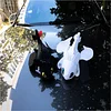 Toothless Little Dragon Wings Vibrate Car Roof Skylight Decoration Doll
