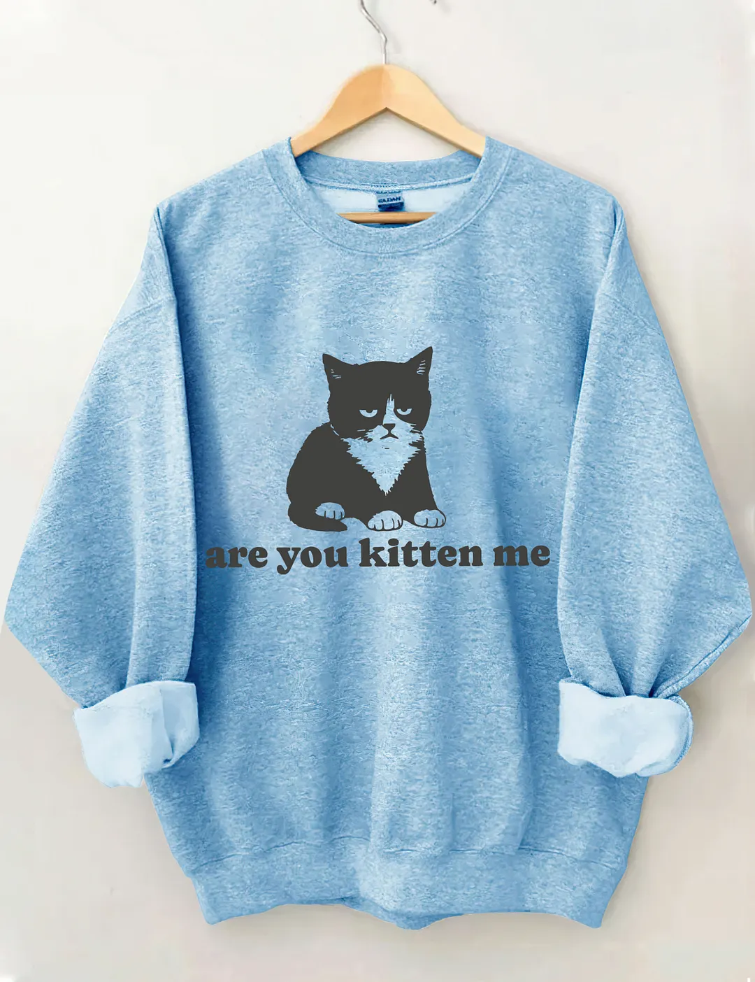 Are You Kitten Me Sweatshirt