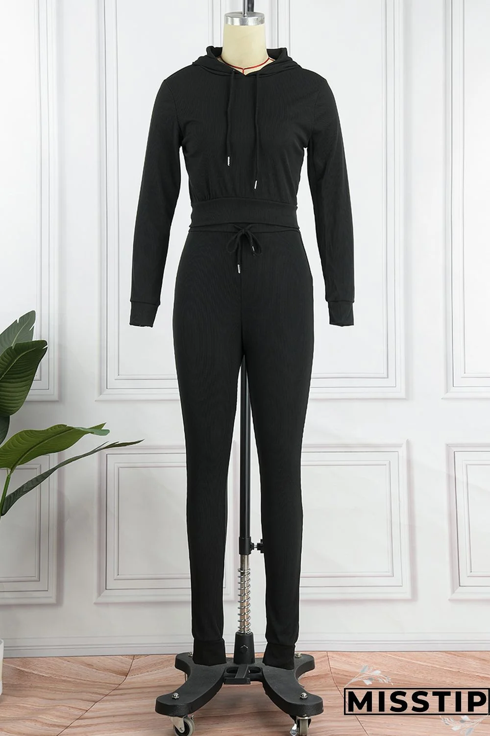 Black Casual Solid Basic Hooded Collar Long Sleeve Two Pieces