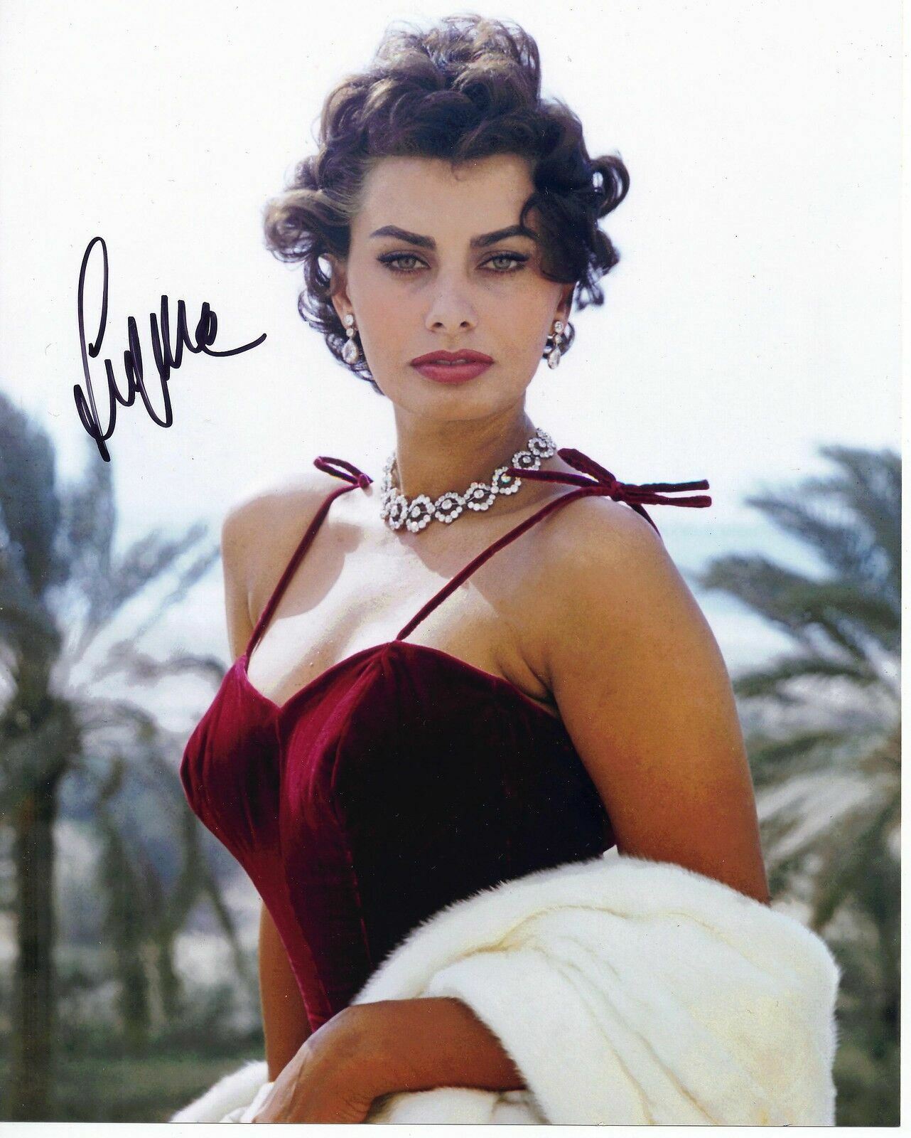 Sophia Loren SIGNED 10X8 Photo Poster painting SEXY IMAGE AFTAL COA (7253)