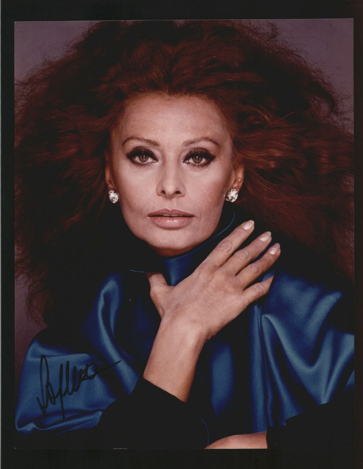 Sophia Loren - Signed Autograph Color 8x10 Photo Poster painting - Marriage Italian Style