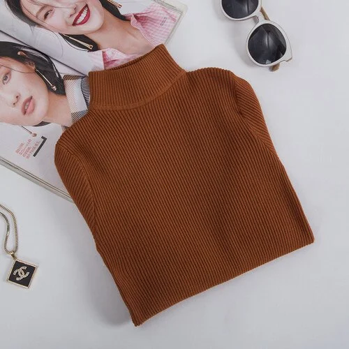 Spring Autumn Winter Turtleneck Sweaters Slim-fit Korean Sweater Long Sleeve Pullovers Short  Casual Tight Clothes New Arrival