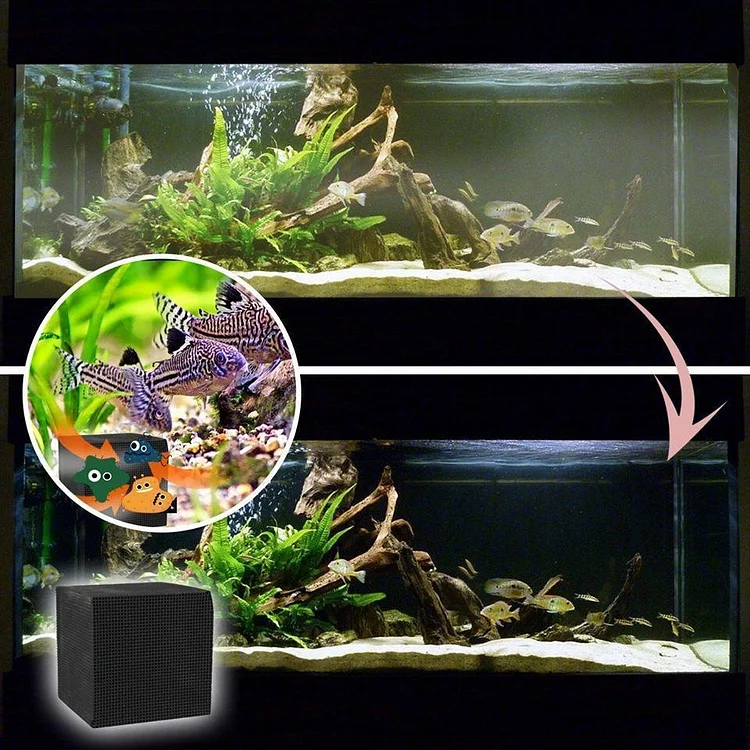 Eco-Aquarium Water Purifier Cube | 168DEAL