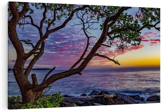 CafePress Canvas Wall Art Beaches Sunrise Kapaa Kauai Ready to Hang for Living Room, Bedroom or Office 36x24