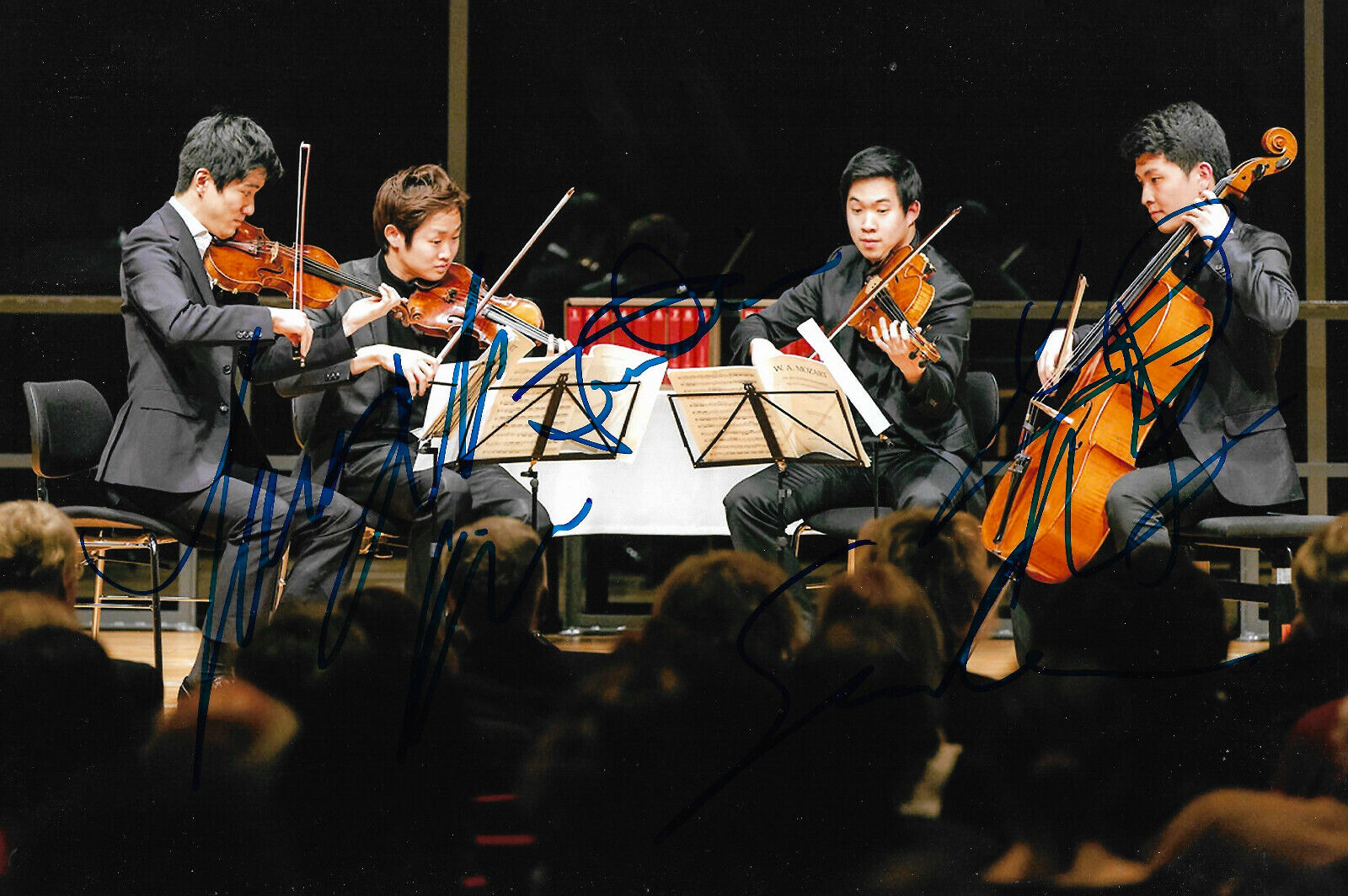 Novus String Quartet signed 8x12 inch Photo Poster painting autograph