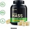 Optimum Nutrition Serious Mass Weight Gainer Protein Powder for Immune Support 