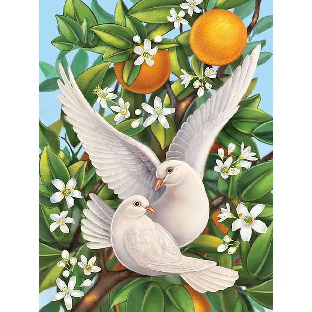 Pigeon - Full Round - Diamond Painting(30*40cm)