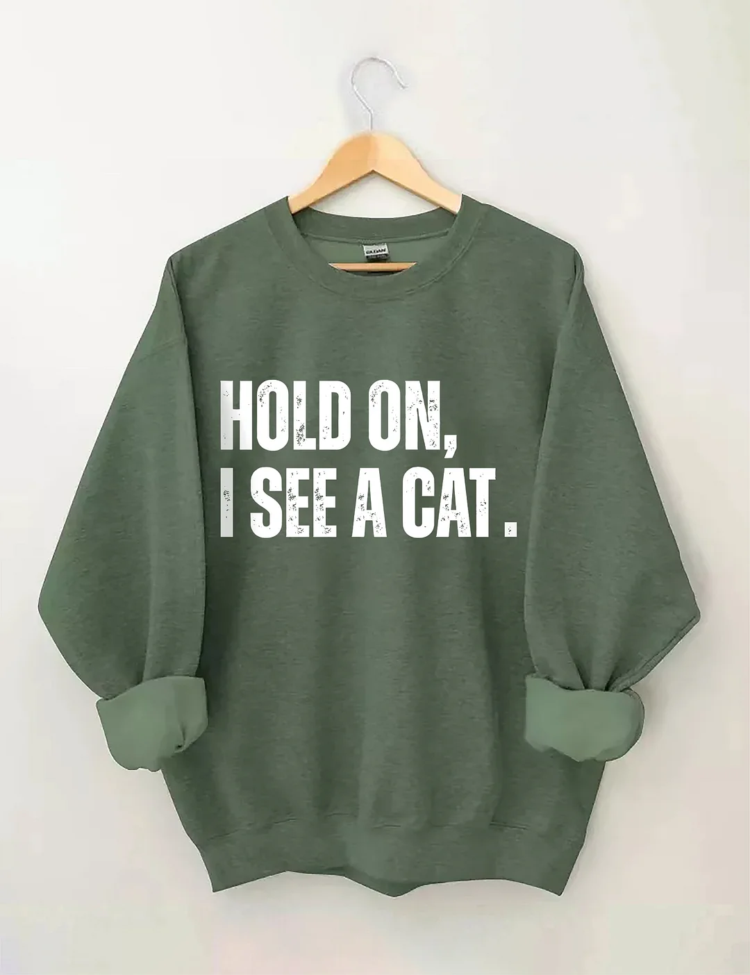 Hold On I See A Cat Sweatshirt