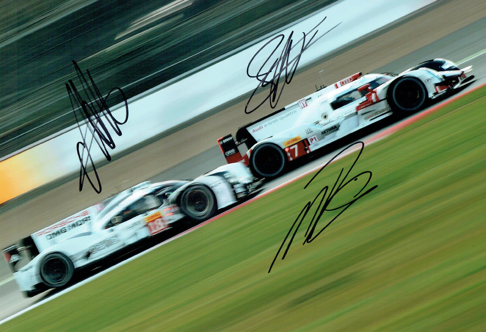 AUDI WEC Team 2016 Signed Photo Poster painting B Autograph AFTAL COA LOTTERER FASSLER TRELUYER