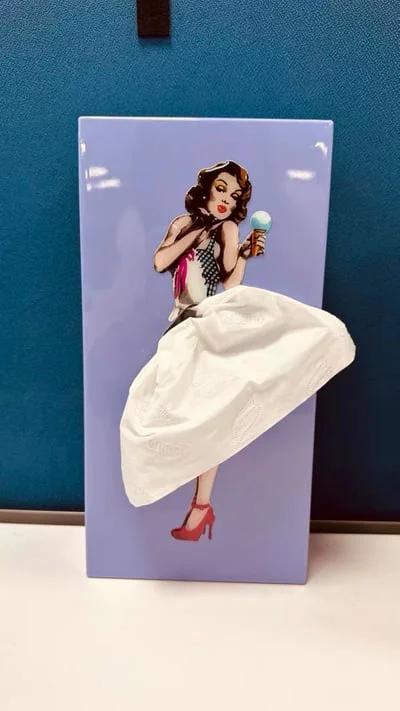 🎁 Flying Skirt Tissue Box