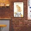 Orange Cat - Vintage Metal Signs - 30*40cm